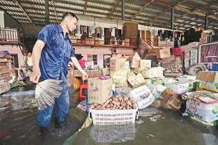 圖文 商戶損失近億 蔬菜供應受影響